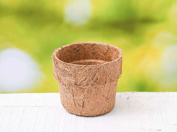 Coir Pot
